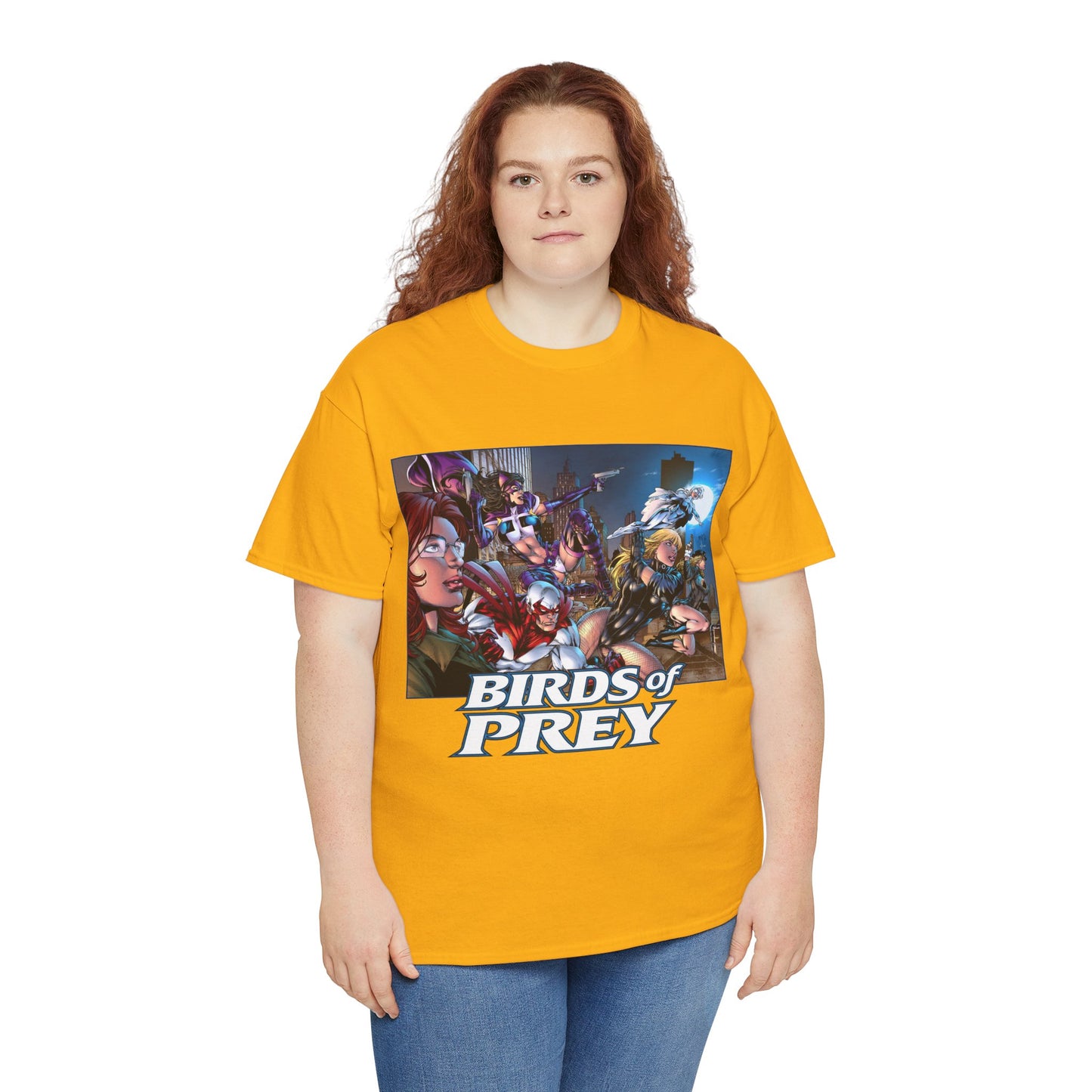 Birds of Prey T-Shirt - Ed Benes Art - DC Comics