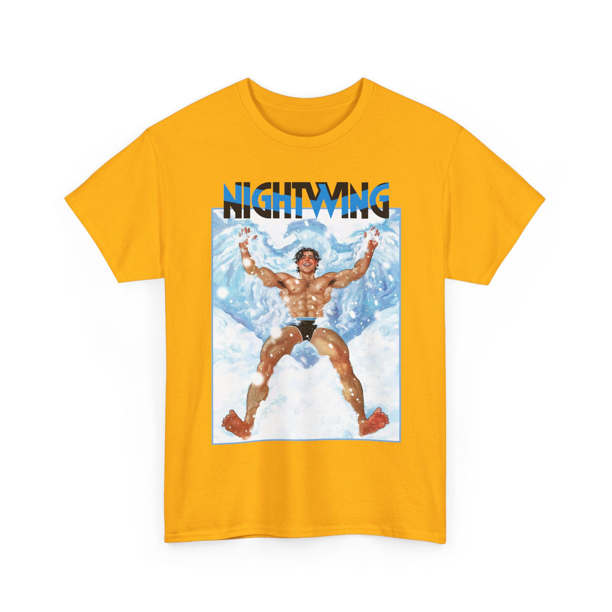 Nightwing T-Shirt - Nick Robles Art - Dick Grayson in the Snow - #111 Cover Art - DC Comics