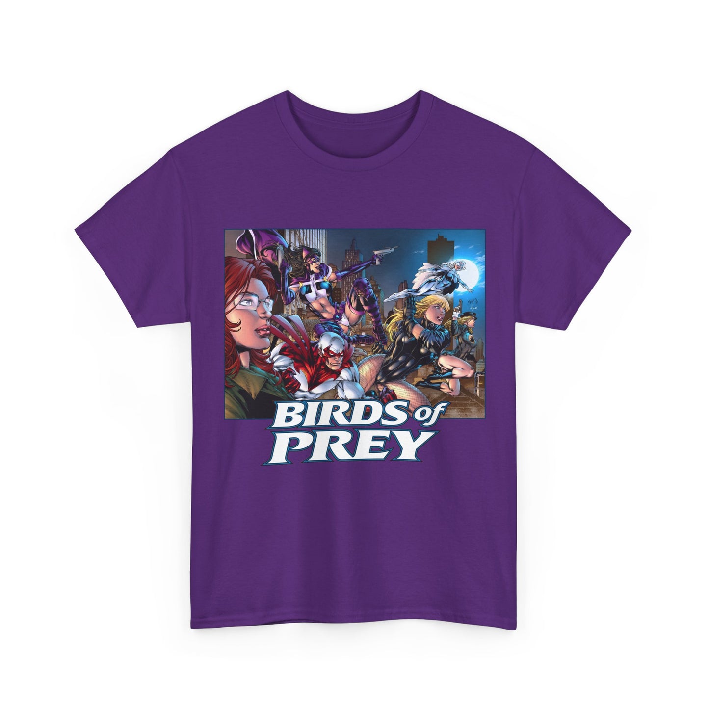 Birds of Prey T-Shirt - Ed Benes Art - DC Comics