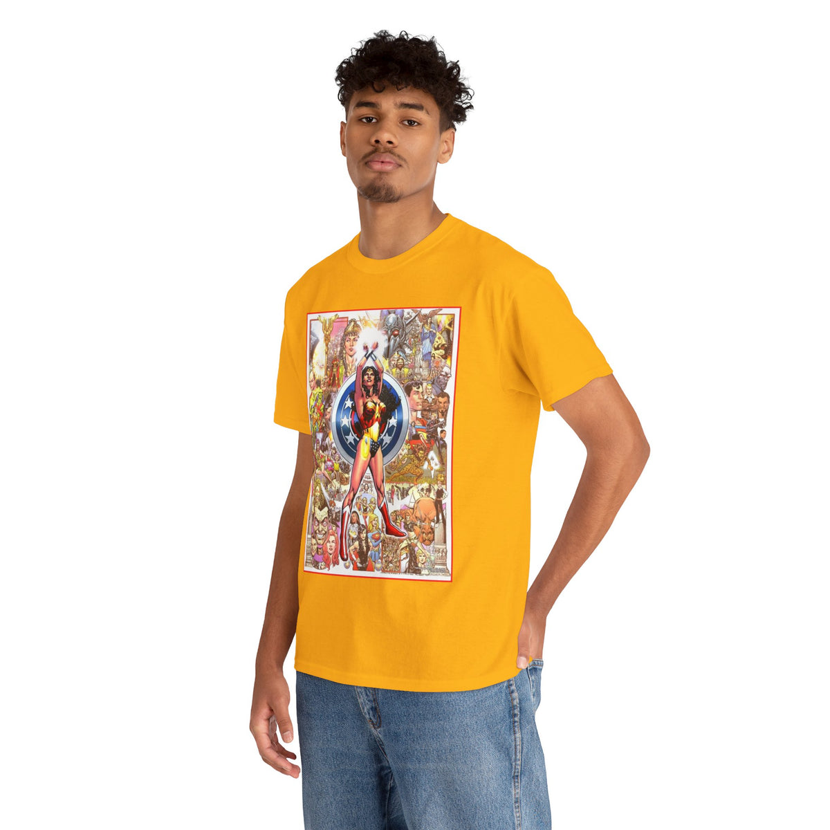 Wonder Woman T-Shirt - Phil Jimenez Art - DC Comics