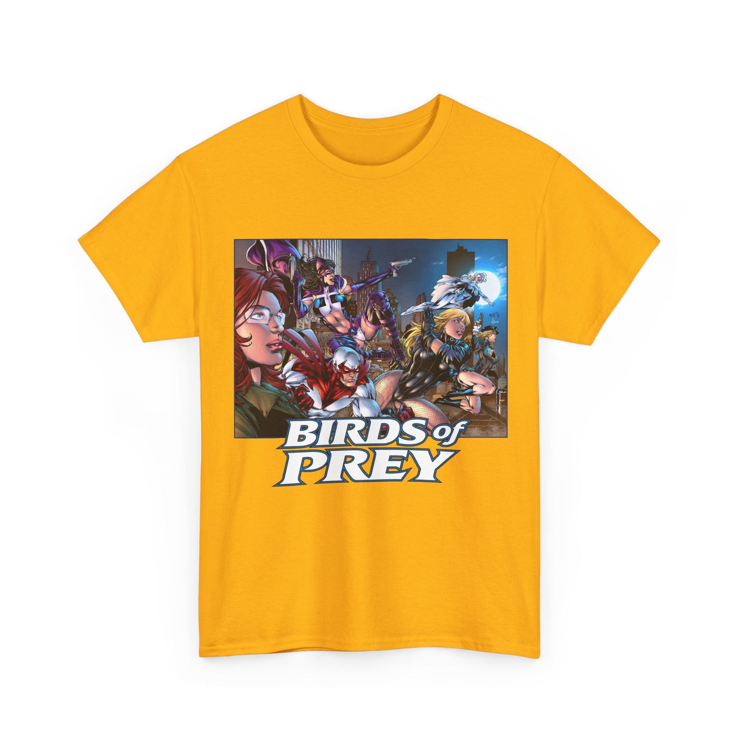 Birds of Prey T-Shirt - Ed Benes Art - DC Comics